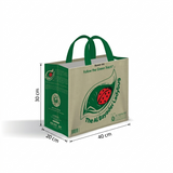 Green Track Durable Bag 40*30*20cm 80g+25g pp non-woven w/h Handle Small [P:1pc]