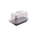 Fun® Plastic Clear Container 199x121x80mm with Flat PET Lids [5pcs x 1pkt]