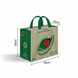 Fun® PP non-woven Reusable Bag with Handle Medium 45*35*20cm [1pc]